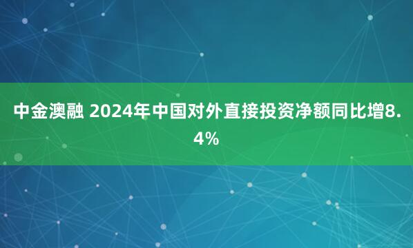 中金澳融 2024年中国对外直接投资净额同比增8.4%