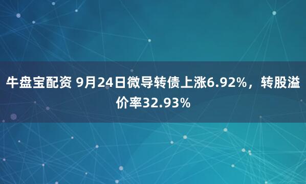 牛盘宝配资 9月24日微导转债上涨6.92%，转股溢价率32.93%