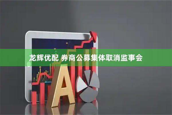 龙辉优配 券商公募集体取消监事会